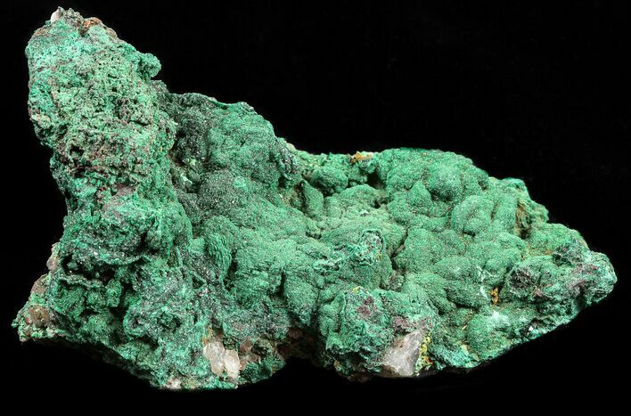 Malachite on Matrix - Morocco #57055